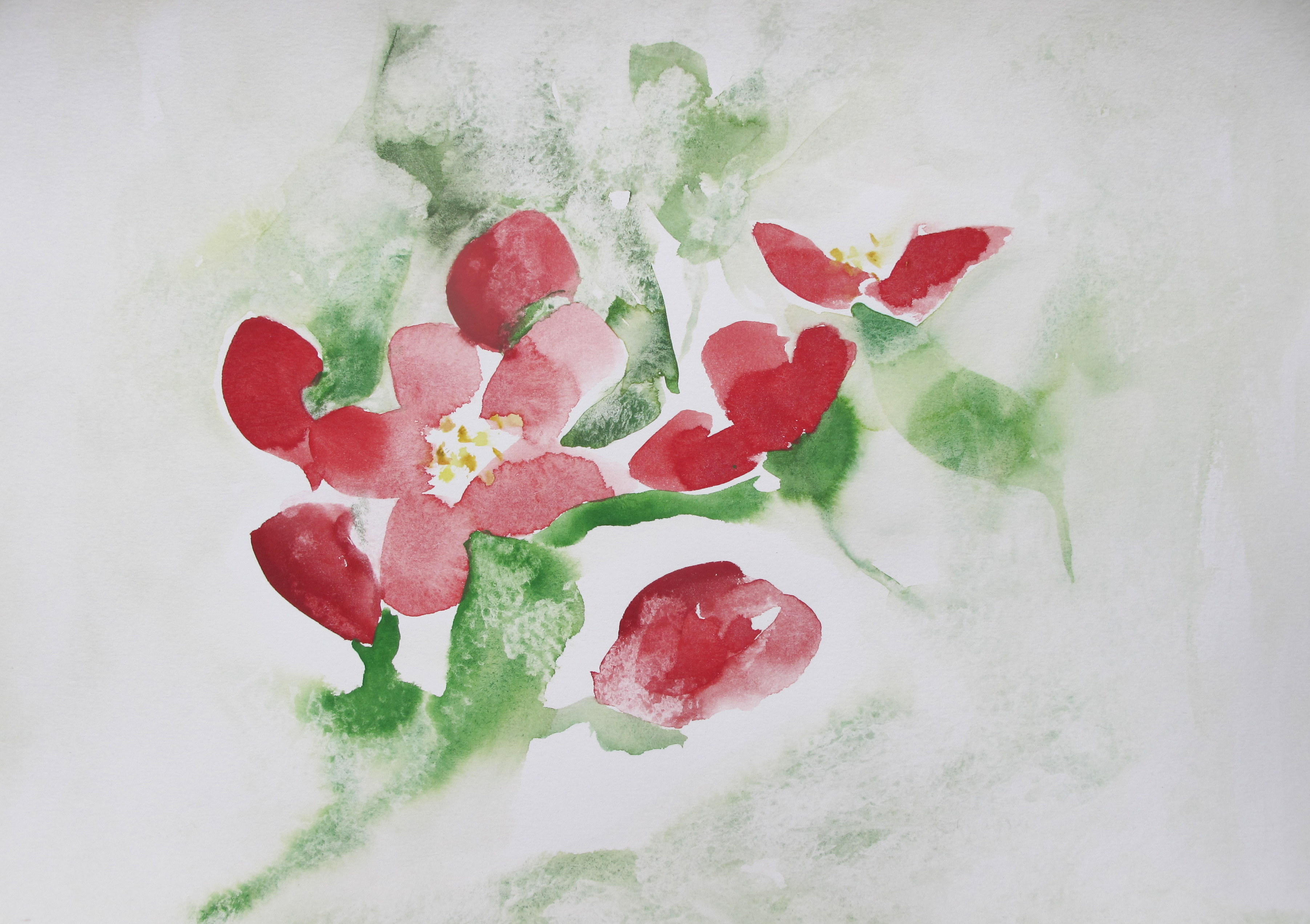 cherry_blossom.jpg